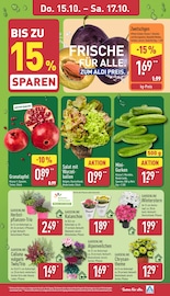 Granatapfel Angebote im Prospekt "Aktuelle Angebote" von ALDI Nord Granatapfel Angebote im Prospekt "Aktuelle Angebote" von ALDI Nord auf Seite 33