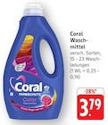 Waschmittel Angebote von Coral bei EDEKA Mannheim für 3,79 €