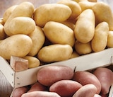 Intermarché Contact Tallende - Promo Pommes de terre de consommation à chair ferme Promo Pommes de terre de consommation à chair ferme à 1,69 € dans le catalogue Intermarché Contact à Tallende