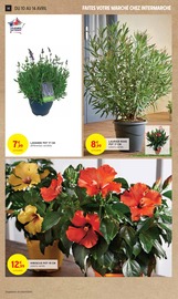 Fleurs Angebote im Prospekt "50% REMBOURSÉS EN BONS D'ACHAT SUR TOUT LE RAYON BIÈRES ET CIDRES" von Intermarché auf Seite 14