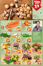 Dekoration im REWE Prospekt in Ludwigshafen Aktueller REWE Prospekt mit Dekoration, "Dein Markt", Seite 7