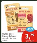 Lippenbalsam von Burt's Bees im aktuellen budni Prospekt für 3,79 €