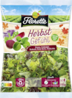 Aktuelle Salat Angebote bei E center in Frankfurt (Main) Aktuelles Herbstgefühl Angebot bei E center in Frankfurt (Main) ab 2,79 €