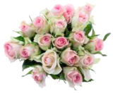 Aktuelles Moosrosen Angebot bei EDEKA in Hamburg ab 2,99 €