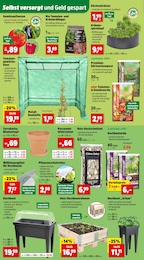 Thomas Philipps Blumentopf im Prospekt 