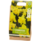 Bulbes de fleurs à Action dans Achères Bulbes de fleurs à Action dans Achères