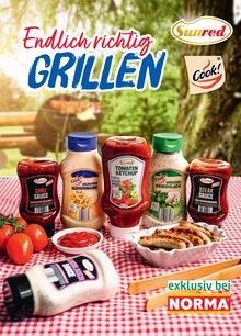 Grill im aktuellen Norma Prospekt (Duisburg) Grill im Norma Prospekt "Mehr fürs Geld" mit 30 Seiten (Duisburg)