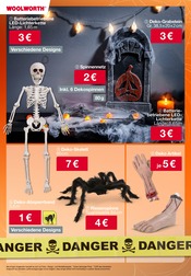 Aktueller Woolworth Prospekt mit Lichterkette, "Aktuelle Angebote", Seite 17