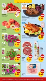 Pfirsiche Angebot & Preis im aktuellen Penny Prospekt Pfirsiche Angebot im aktuellen Penny Prospekt auf Seite 32