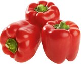 Aktuelles Spanien Paprika "rot" Angebot bei EDEKA in Hamm ab 1,79 €