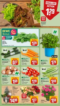 Salat im REWE Prospekt "Dein Markt" mit 18 Seiten (Mannheim)