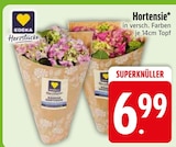 Hortensie von EDEKA Herzstücke im aktuellen EDEKA Prospekt für 6,99 €