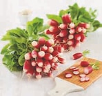 Super U Arzon - Promo Radis Rose Promo Radis Rose à 1,70 € dans le catalogue Super U à Arzon