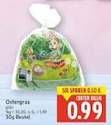 Ostergras für 0,99 € bei E center im Angebot Ostergras im aktuellen E center Prospekt