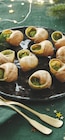 12 Escargots Recette à la Bourguignonne Helix Pomatia Calibre Très Gros - ESCAL en promo chez Intermarché Super 12 Escargots Recette à la Bourguignonne Helix Pomatia Calibre Très Gros - ESCAL dans le catalogue Intermarché Super