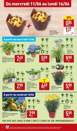Géranium Angebote im Prospekt "UN SAVOUREUX VOYAGE AU COEUR DE LA STREET FOOD* À PRIX DISCOUNT" von Aldi Géranium Angebote im Prospekt "UN SAVOUREUX VOYAGE AU COEUR DE LA STREET FOOD* À PRIX DISCOUNT" von Aldi auf Seite 6