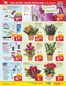 Blumen im aktuellen Netto Marken-Discount Prospekt (Braunschweig) Blumen im Netto Marken-Discount Prospekt "Aktuelle Angebote" mit 61 Seiten (Braunschweig)