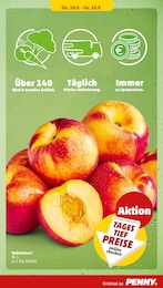 Pfirsiche Angebot & Preis im aktuellen Penny Prospekt Pfirsiche Angebot im aktuellen Penny Prospekt auf Seite 31
