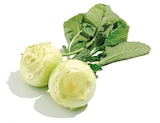 Kohlrabi bei Netto mit dem Scottie im Neustrelitz Prospekt für 0,69 €