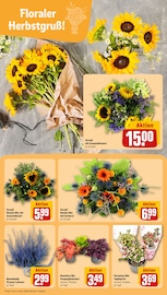 Aktueller REWE Prospekt mit Farbe, "Dein Markt", Seite 9