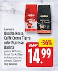 Qualita Rossa, Caffè Crema Tierra oder Espresso Barista im Angebot bei EDEKA in Berlin Qualita Rossa, Caffè Crema Tierra oder Espresso Barista Angebote von Lavazza bei EDEKA Berlin für 14,99 €
