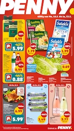 Penny Supermarkt Prospekt der aktuellen Woche mit 43 Seiten, gültig von 18.05.2026 bis 24.05.2026, in Halsbrücke und Umgebung Aktueller Penny Supermarkt Prospekt in Halsbrücke und Umgebung, "Wer günstig will, muss Penny." mit 43 Seiten, 18.05.2026 - 24.05.2026