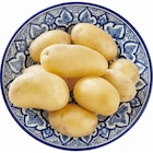 Pomme de terre de consommation - SIMPL dans le catalogue Carrefour