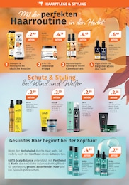 Shampoo im Müller Prospekt Shampoo im Müller Prospekt Aktuelle Angebote auf S. 2