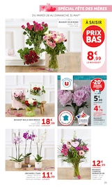 Promos Plantes dans le catalogue "U Express" de U Express Plantes en promo dans le catalogue U Express à la page 25