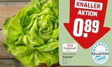 Kopfsalat von REWE Regional im aktuellen REWE Prospekt für 0,89 €