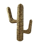 Cactus déco en promo chez Carrefour Le Havre à 16,99 €