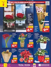 Blumen im Netto Marken-Discount Prospekt in Chemnitz Aktueller Netto Marken-Discount Prospekt mit Blumen, "Aktuelle Angebote", Seite 8