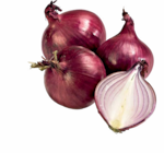 Zwiebeln rot bei Netto Marken-Discount im Prospekt "" für 1,00 €