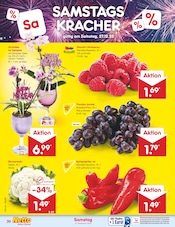 Ähnliche Angebote wie Gartenliege im Prospekt "Aktuelle Angebote" auf Seite 40 von Netto Marken-Discount in Neubrandenburg