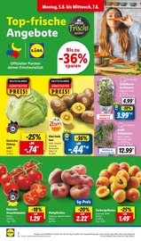 Ähnliche Angebote wie Fleischfressende Pflanzen im Prospekt "LIDL LOHNT SICH" auf Seite 2 von Lidl in Saarbrücken