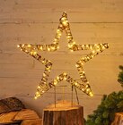 Gartenstecker Stern im Angebot bei Hagebaumarkt in Erftstadt Gartenstecker Stern Angebote bei Hagebaumarkt Erftstadt für 14,99 €