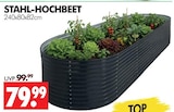 STAHL-HOCHBEET bei Wreesmann im Lucka Prospekt für 79,99 €