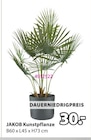 Aktuelles JAKOB Kunstpflanze Angebot bei JYSK in Würzburg ab 30,00 €