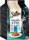 Aktuelle Katzenfutter Angebote bei REWE in Heilbronn Aktuelles Fresh & Fine Angebot bei REWE in Heilbronn ab 2,19 €