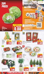 Tomaten Angebot im aktuellen E center Prospekt auf Seite 5