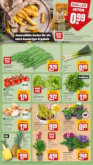 Gemüse im REWE Prospekt "Dein Markt" mit 26 Seiten (Heilbronn)