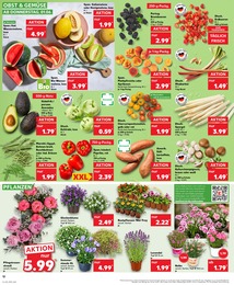 Blumen Angebot im aktuellen Kaufland Prospekt auf Seite 12