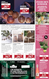 Laterne im Dehner Garten-Center Prospekt in Kaiserslautern Aktueller Dehner Garten-Center Prospekt mit Laterne, "FEIER DEN SOMMER", Seite 16