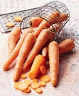 Carotte à 1,49 € dans le catalogue Super U
