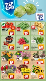 Tomaten im REWE Prospekt in Marl Aktueller REWE Prospekt mit Tomaten, "Dein Markt", Seite 7