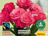 Großköpfige Hochland Rosen bei Netto Marken-Discount im Prospekt "" für 4,99 €