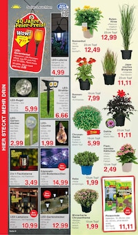 Klappstuhl Angebot im aktuellen Jawoll Prospekt auf Seite 8