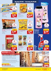 Maggi im Netto Marken-Discount Prospekt in Speyer Aktueller Netto Marken-Discount Prospekt mit Maggi, "Aktuelle Angebote", Seite 9