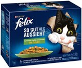 Katzenahrung bei REWE im Dornstadt Prospekt für 3,99 €