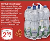 Mineralwasser Angebote von Globus bei GLOBUS Salzgitter für 2,99 €